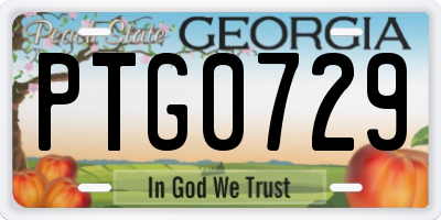 GA license plate PTG0729