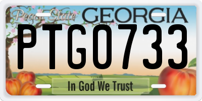 GA license plate PTG0733