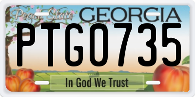 GA license plate PTG0735