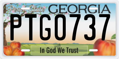GA license plate PTG0737