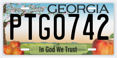 GA license plate PTG0742