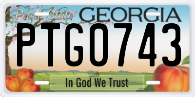 GA license plate PTG0743