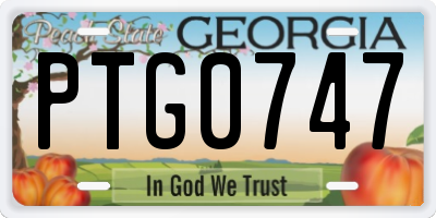 GA license plate PTG0747