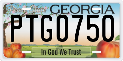 GA license plate PTG0750