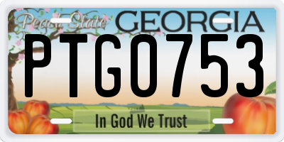 GA license plate PTG0753