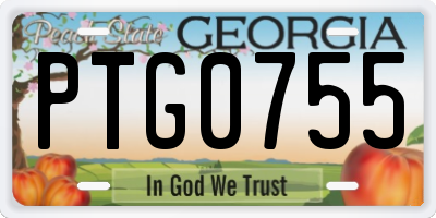GA license plate PTG0755