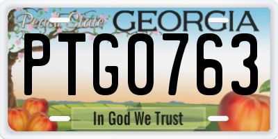 GA license plate PTG0763
