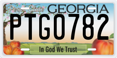 GA license plate PTG0782