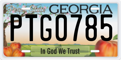 GA license plate PTG0785