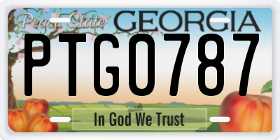 GA license plate PTG0787