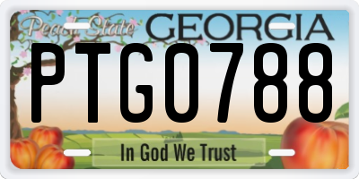 GA license plate PTG0788