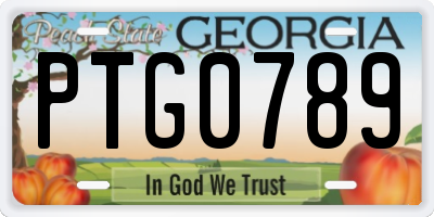 GA license plate PTG0789