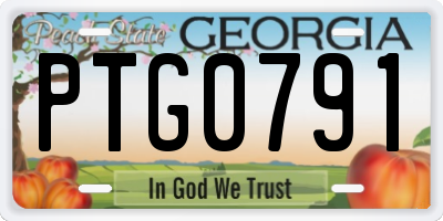 GA license plate PTG0791