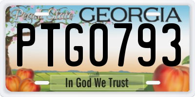GA license plate PTG0793
