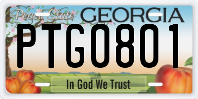 GA license plate PTG0801