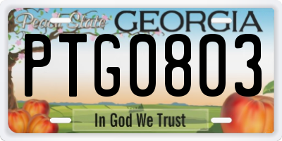 GA license plate PTG0803