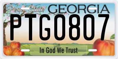 GA license plate PTG0807