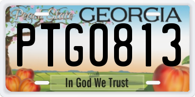 GA license plate PTG0813