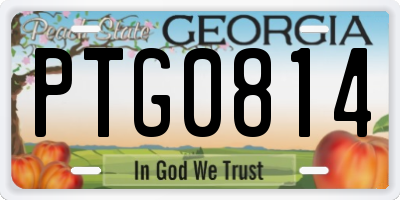 GA license plate PTG0814