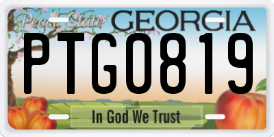 GA license plate PTG0819