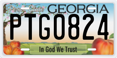GA license plate PTG0824