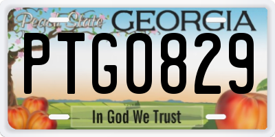 GA license plate PTG0829