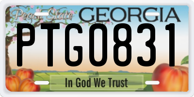 GA license plate PTG0831