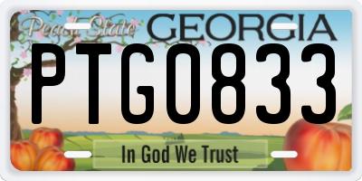 GA license plate PTG0833