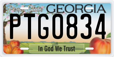 GA license plate PTG0834