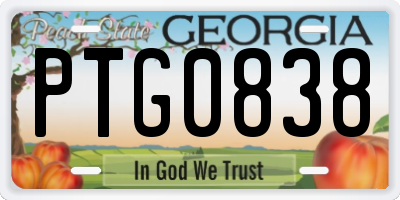GA license plate PTG0838