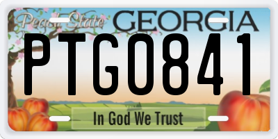 GA license plate PTG0841
