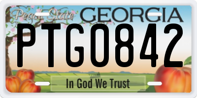 GA license plate PTG0842