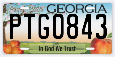 GA license plate PTG0843