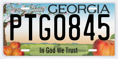 GA license plate PTG0845
