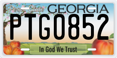 GA license plate PTG0852
