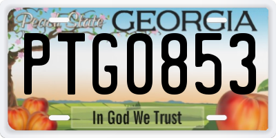 GA license plate PTG0853