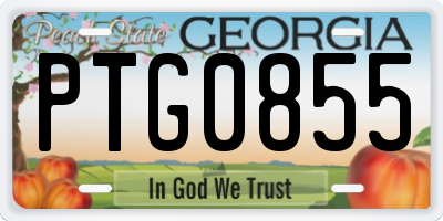 GA license plate PTG0855