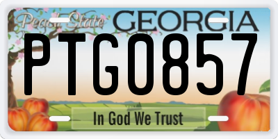 GA license plate PTG0857