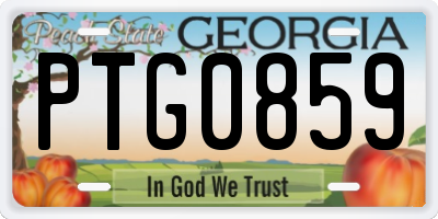 GA license plate PTG0859