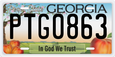 GA license plate PTG0863