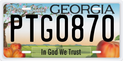 GA license plate PTG0870