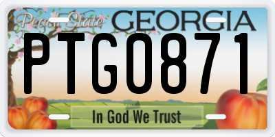 GA license plate PTG0871