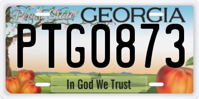GA license plate PTG0873