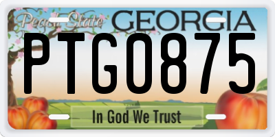 GA license plate PTG0875