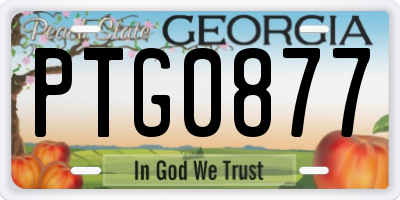 GA license plate PTG0877