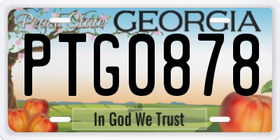 GA license plate PTG0878