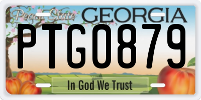 GA license plate PTG0879