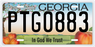 GA license plate PTG0883