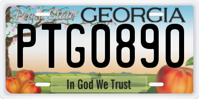 GA license plate PTG0890