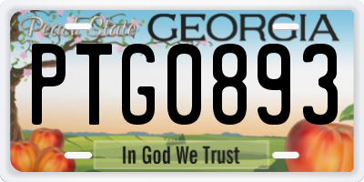 GA license plate PTG0893